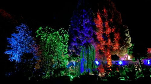 Illumination im Mammutgarten Prietitz